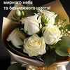 user8046949542161