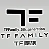 tffamilyboys20139