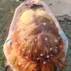 nastyusha1119