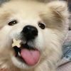 meiipuffli
