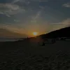 jasper_1211