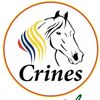 crinespereira