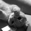_gh4nya9