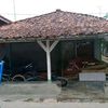 curuk.semprul