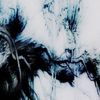 evan_the_redwolf_therian