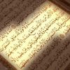 user98231079997486
