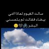 user679735591526