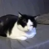 veronique7750