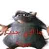 rd69157021