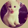 ibrahim_himasouk1239