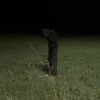 mrkarolek344