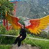 ali091264