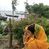 sahinur0376