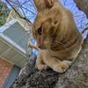 julia_loves_cats17
