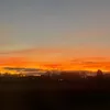lily_broughan_
