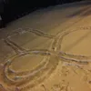wispy_panda
