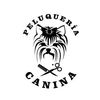 Curso peluquería para perros