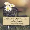 user8005401455288