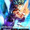 vegetto378