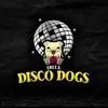 ibiza.disco.dogs