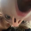 ebbaefaktisktcool