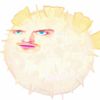 pigmavanwinkle