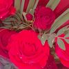 user5311508111824