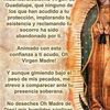 margarita.del.jar