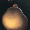 cesarpantacouto_