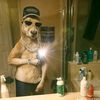 erick.hernndez104