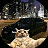 perro.ssalchica89