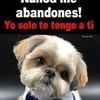 machaca.m.ch