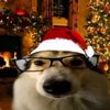 srrx_balla