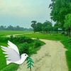 user.rokibul.islam