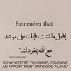 user7044039766271