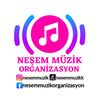 nesemmuzik