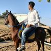fathy.el.mansy