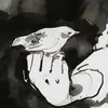 .cilzi
