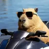 nhncute11