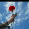 user3251521020552