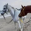 hiua_3