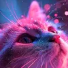 user48050081854832