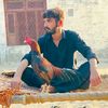 fuzailkhan4699