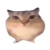 danielcatlover