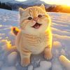 funnycutecatdog