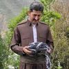 marwan.surchy3