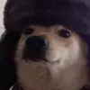joseadrianosilvab