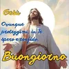 fily.guadagnuolo