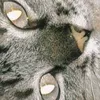 sinha.pet