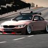 soft_stance_rsa